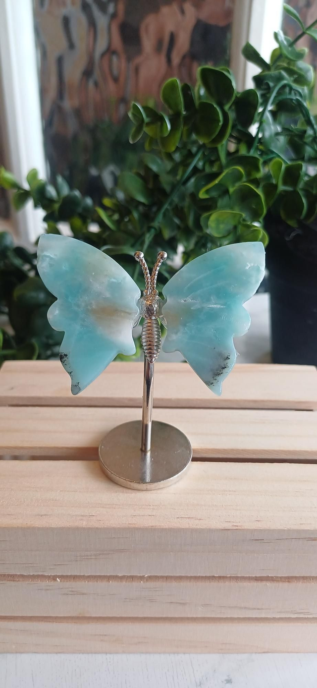 Caribbean Calcite Butterfly Wings on Silver Stand