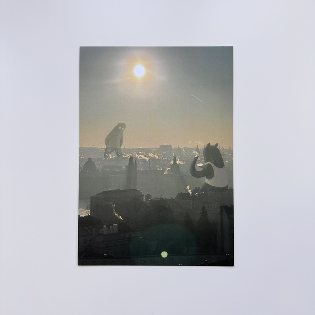 Winter Sunrise View