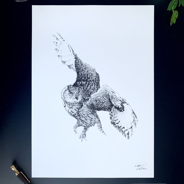 Owl Hunting print 
