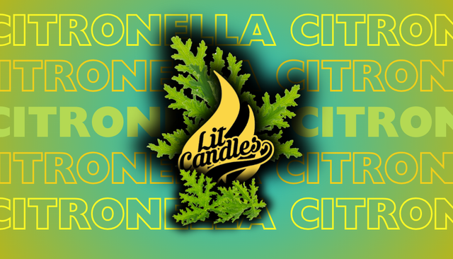 Citronella kaars