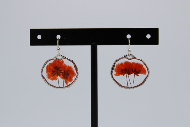 BO &quot;Éclat Botanique&quot;