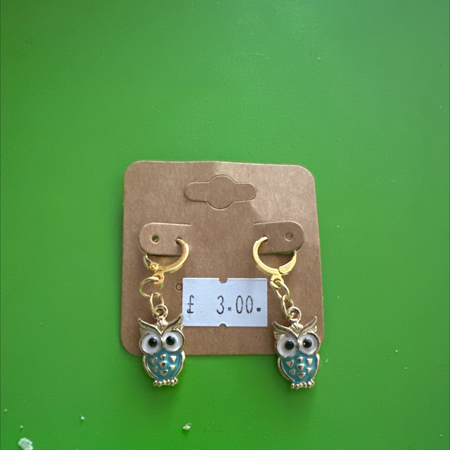 Enamel Owl Earrings