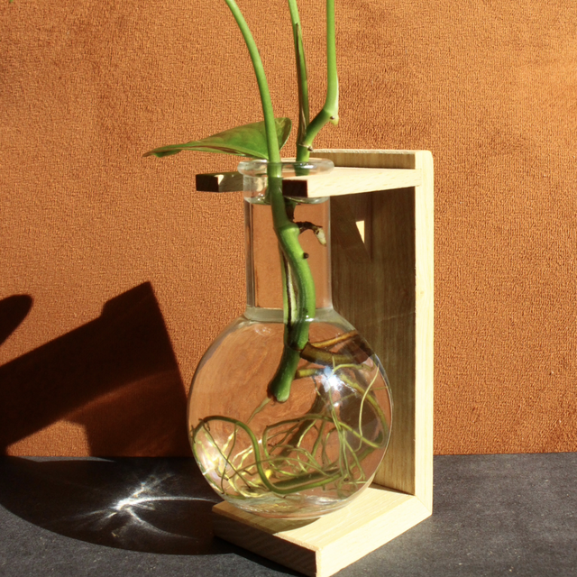 Station de bouturage GLOBE