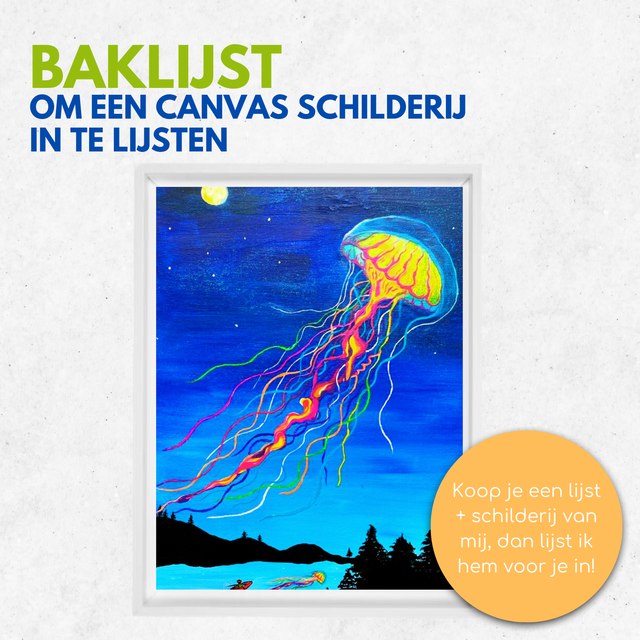 Houten baklijst wit | voor canvas doek