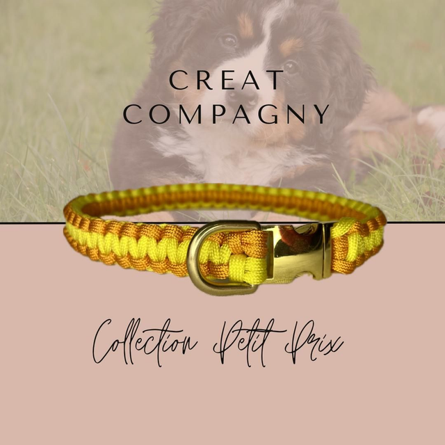 Collier &quot;Goldy&quot;