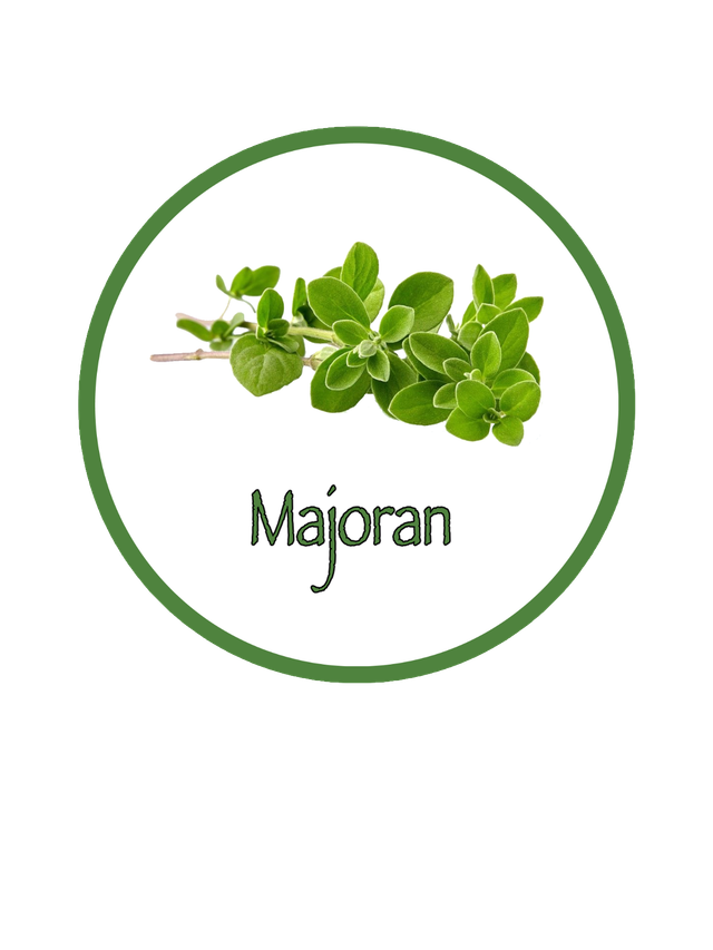 BIO Kräuterpellets Majoran