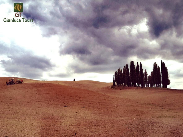 Private Wine Tour Tuscany Montalcino & Montepulciano Tours 10 hours - pick-up drop-off Florence city Mercedes and private driver English speacking - CHOOSE YOUR MERCEDES CLASS