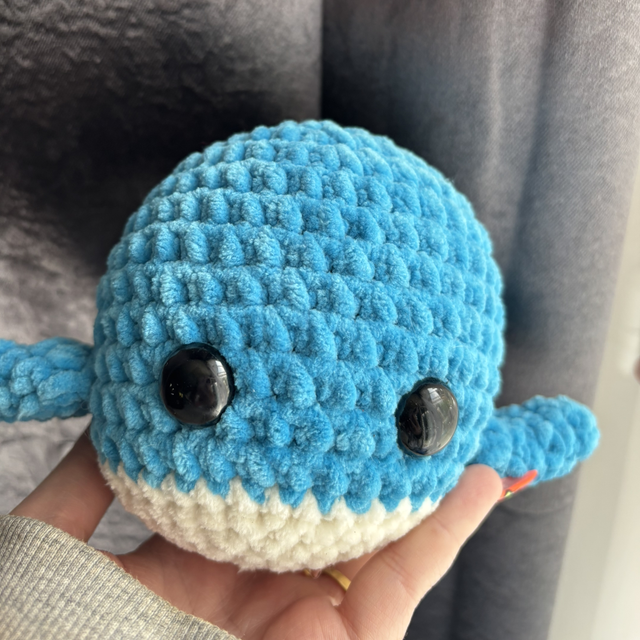 Plouf, la petite baleine 🐳 