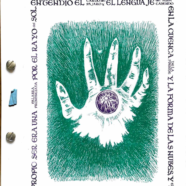 Entendió el canto del pájaro y el lenguaje del agua cayendo en la cuenca de la fuente y la forma de las nubes,