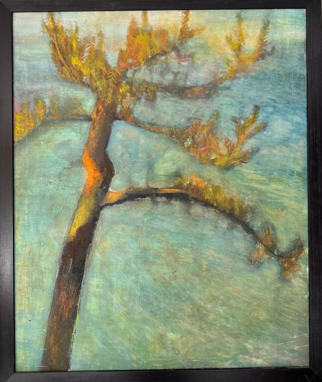 Sosna 104x86 olej płótno oprawiony