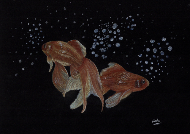 Fish “Blowing Bubbles”