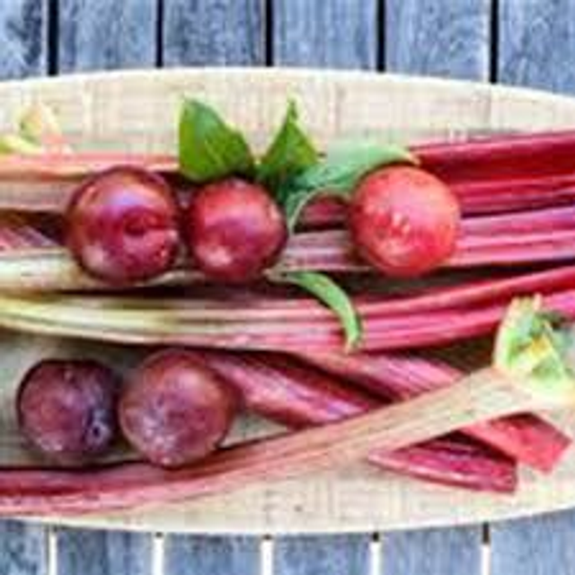 Black Plum &amp; Rhubarb