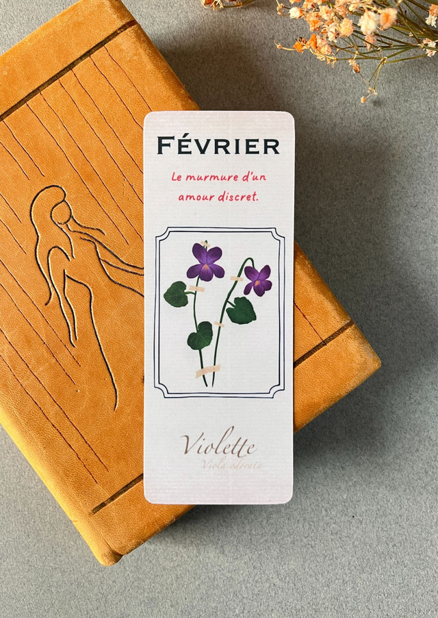 Marque-pages 02. Février, La Violette