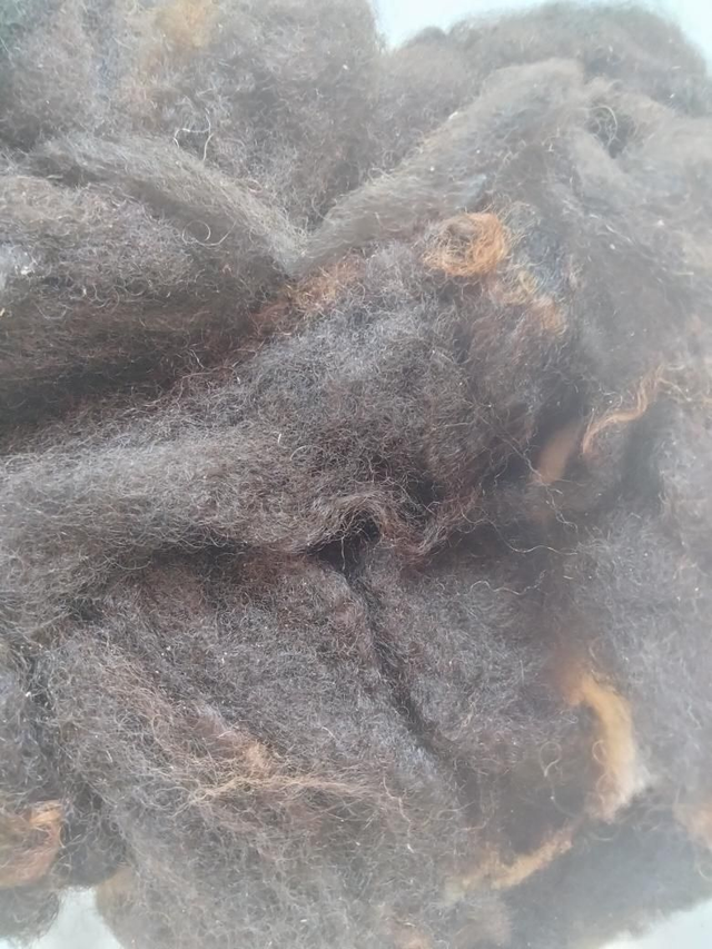 Laine Shetland ToisonsShetland