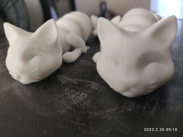 3D Print Lazy Cat