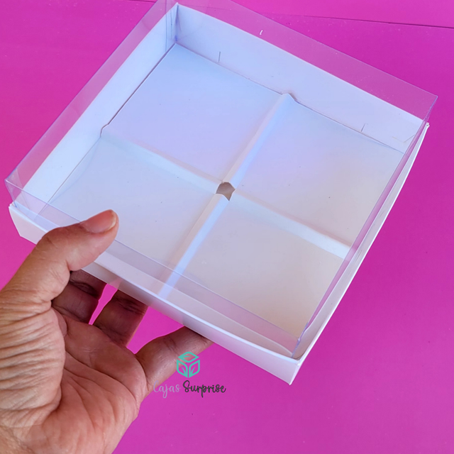 Box 15x15 con Divisiones Planas y Tapa Alta en Acetato