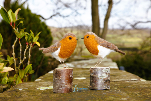 Needle Felted Robin Workshop (£65 + £4.49 booking fee)
