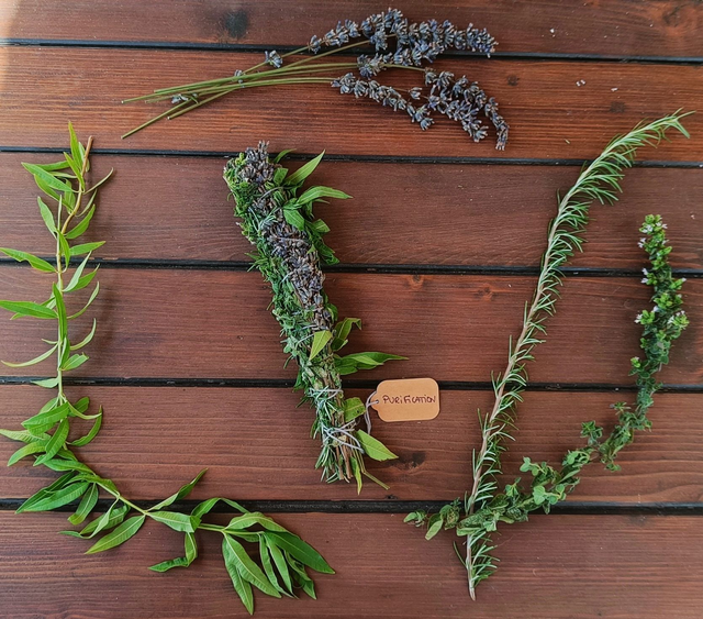 Bâton de fumigation PURIFICATION (Purification naturelle aux plantes de Provence)