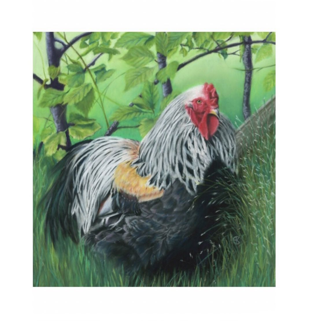 Print (medium) 'DE HAAN' (Konijnenparadijs)