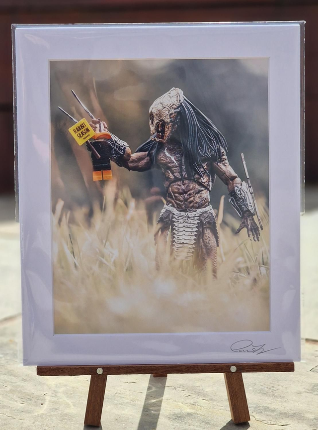 Daffy Duck &amp; Predator 