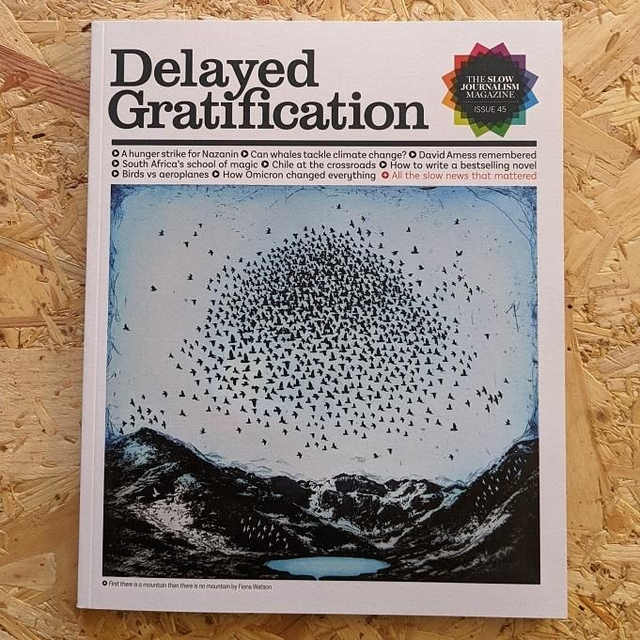 Delayed Gratification - Issue 45