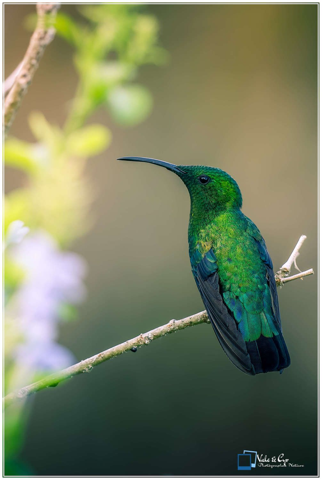 Tirage d'art : Chrome