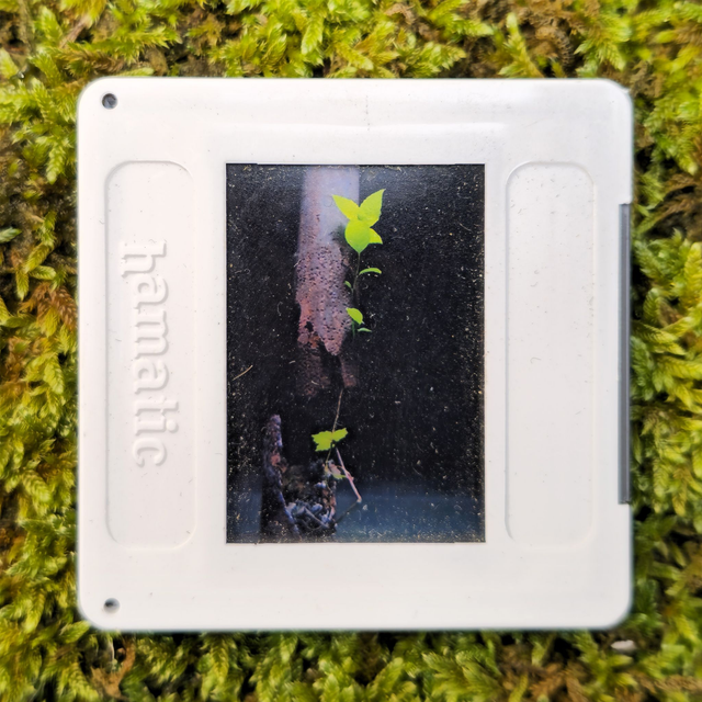 Magnet diapo Urbex_13