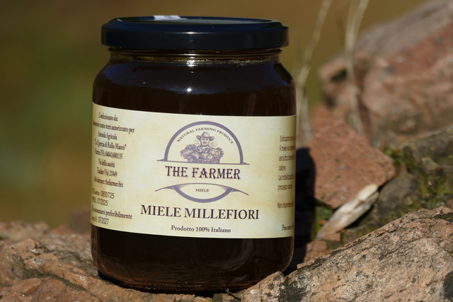 Miele millefiori 500gr