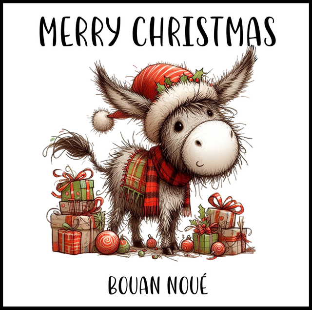 102A - CHRISTMAS CARD - DONKEY 3