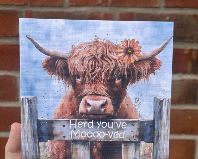 Highland Cow new home card 