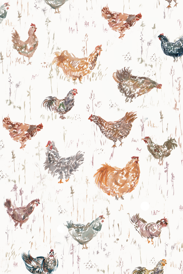 Greetings card, chickens