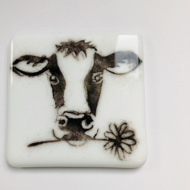 Daisy Cow with flower in mouth 