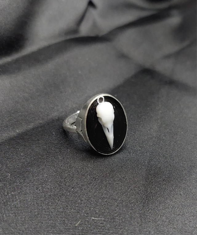 Bague corbeau noir argenté 