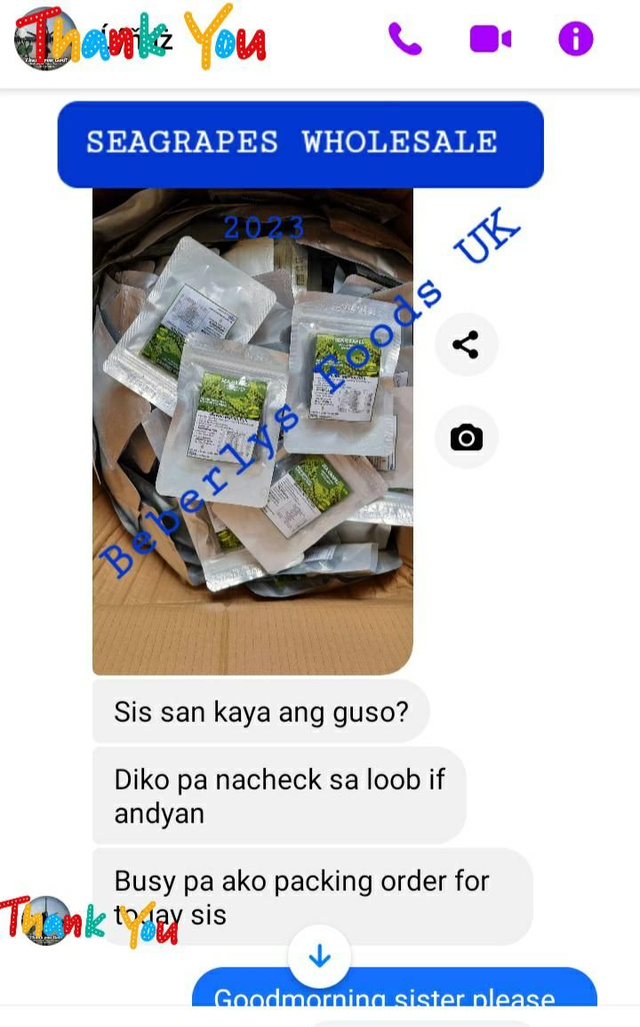 SEAGRAPES WHOLESALE DELIVERY: ENGLAND JULY 2023