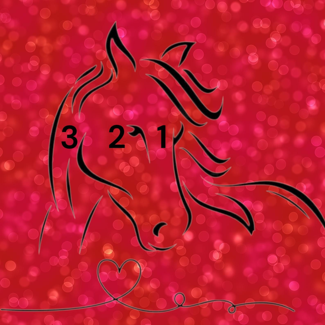 Pferd mit Herz und einem persönlichen Namen