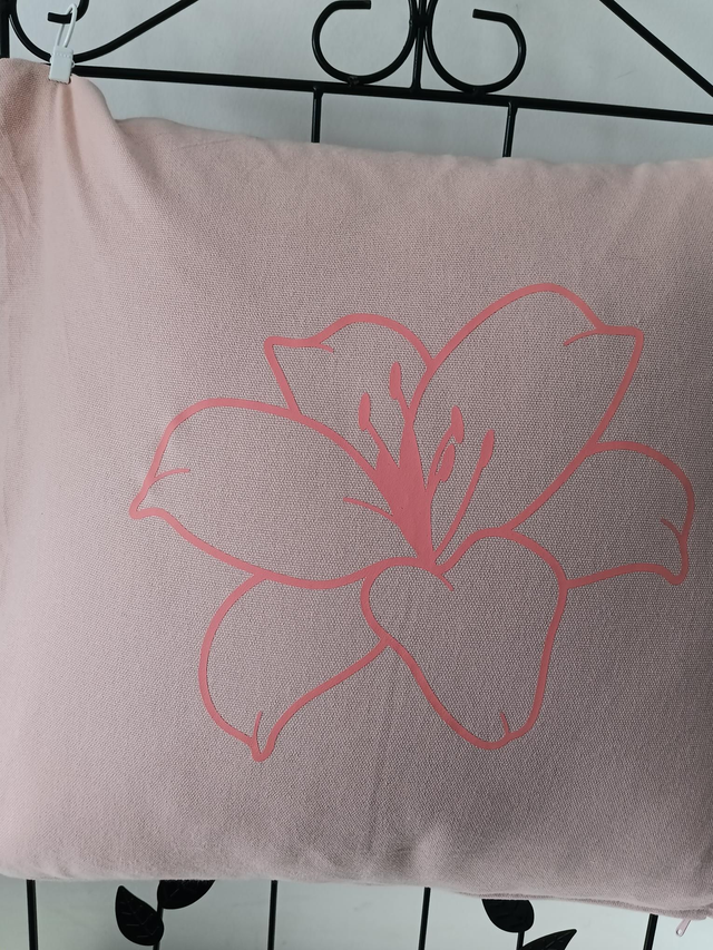 Coussin personnalisable sur demande 