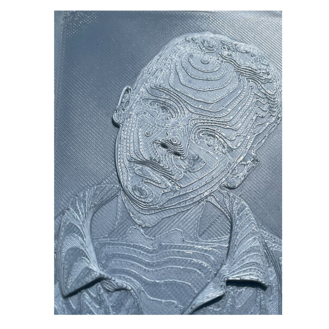 3D Single Colour Portrait