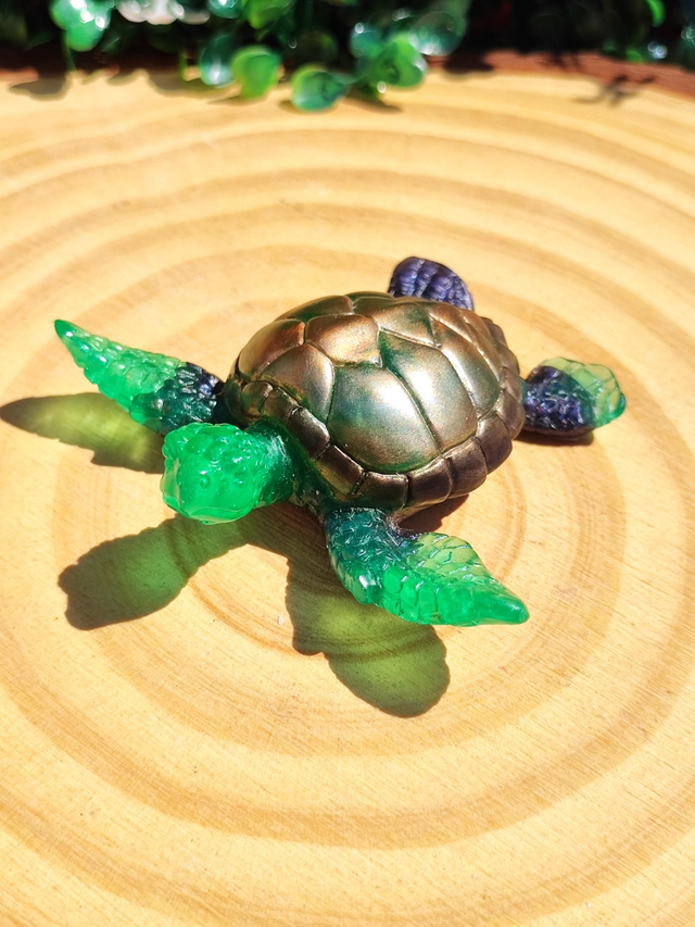 Tortue de mer