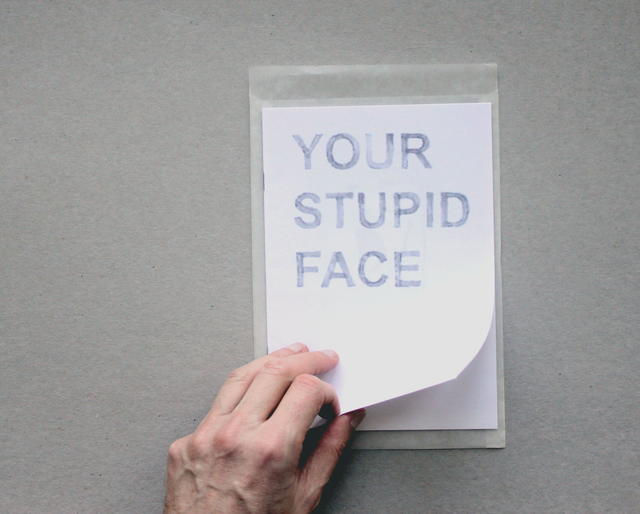 Your Stupid Face - Art Zine