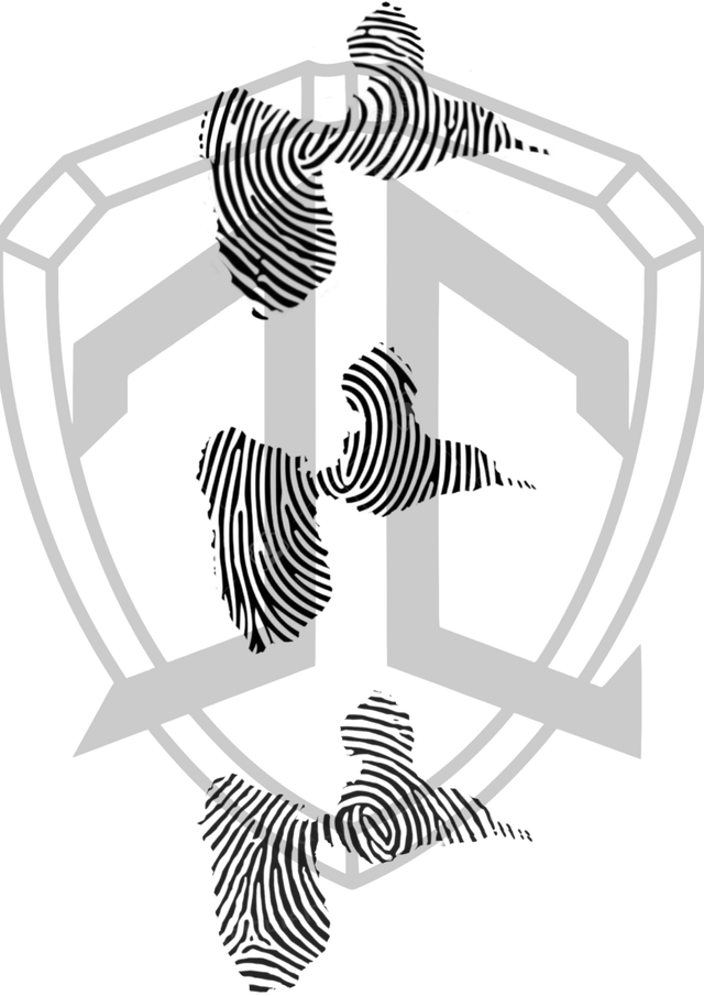 Cartes Flash Empreinte