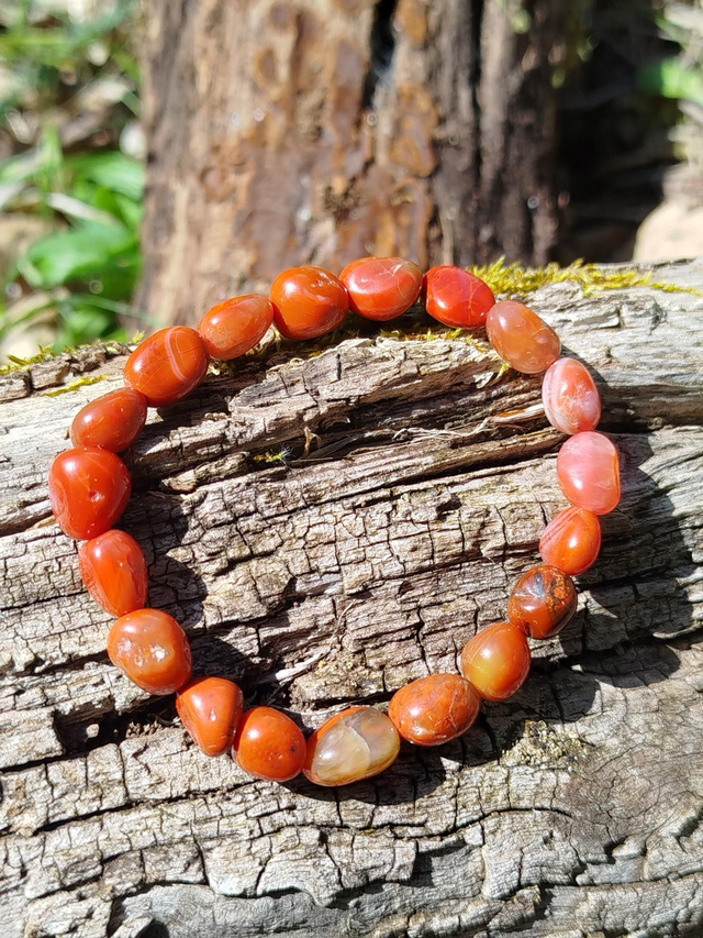  Bracelet Cornaline