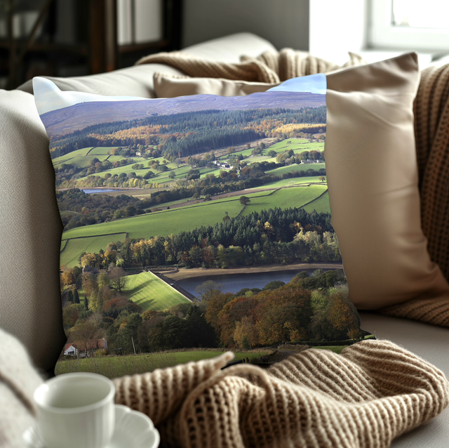 “Bradfield Landscape” Cushion  