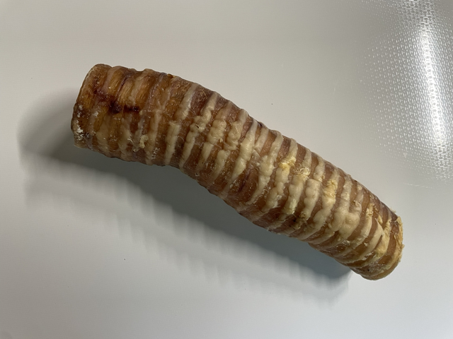 Beef trachea 20cm