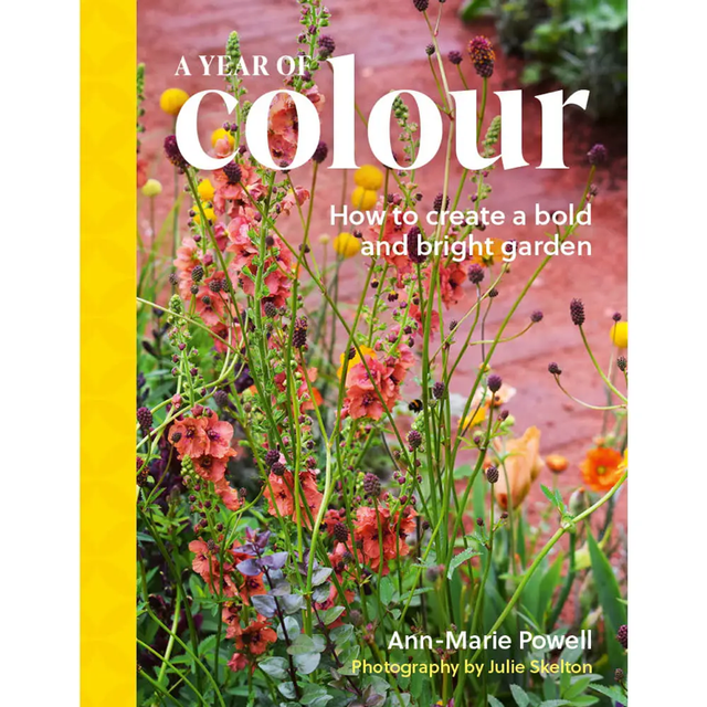 A year full of colour 