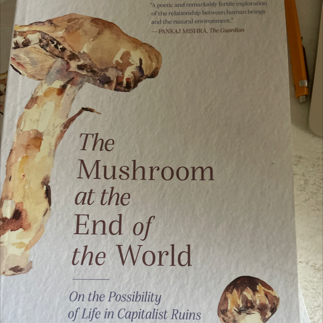 Mushroom At The End Of The World-Tsing, Anna L
