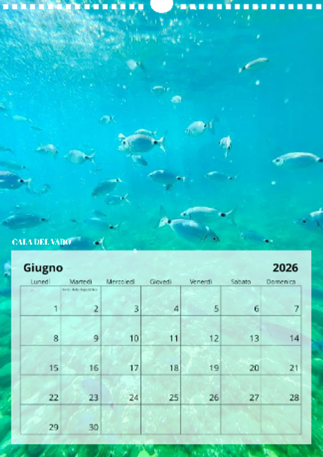 Scatti d’autore per il tuo 2026