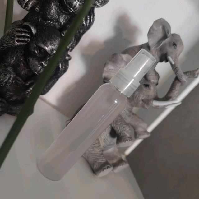 Déodorant Pierre d'alun 