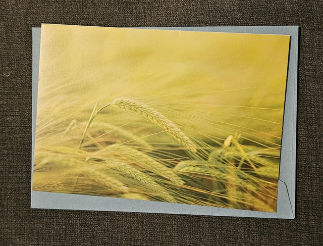 Wheat Card 