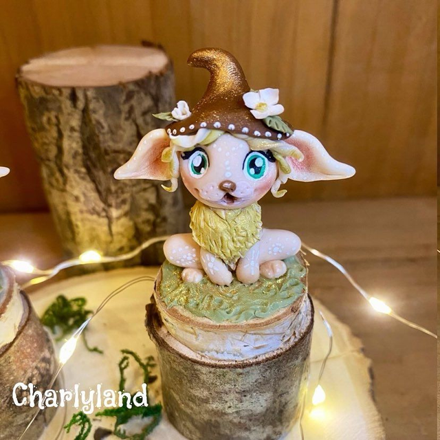 Charlymiz Petit modèle