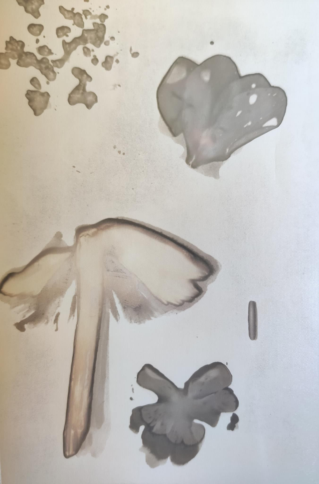 Bouquet d'automne – Cyclamen et champignon 1